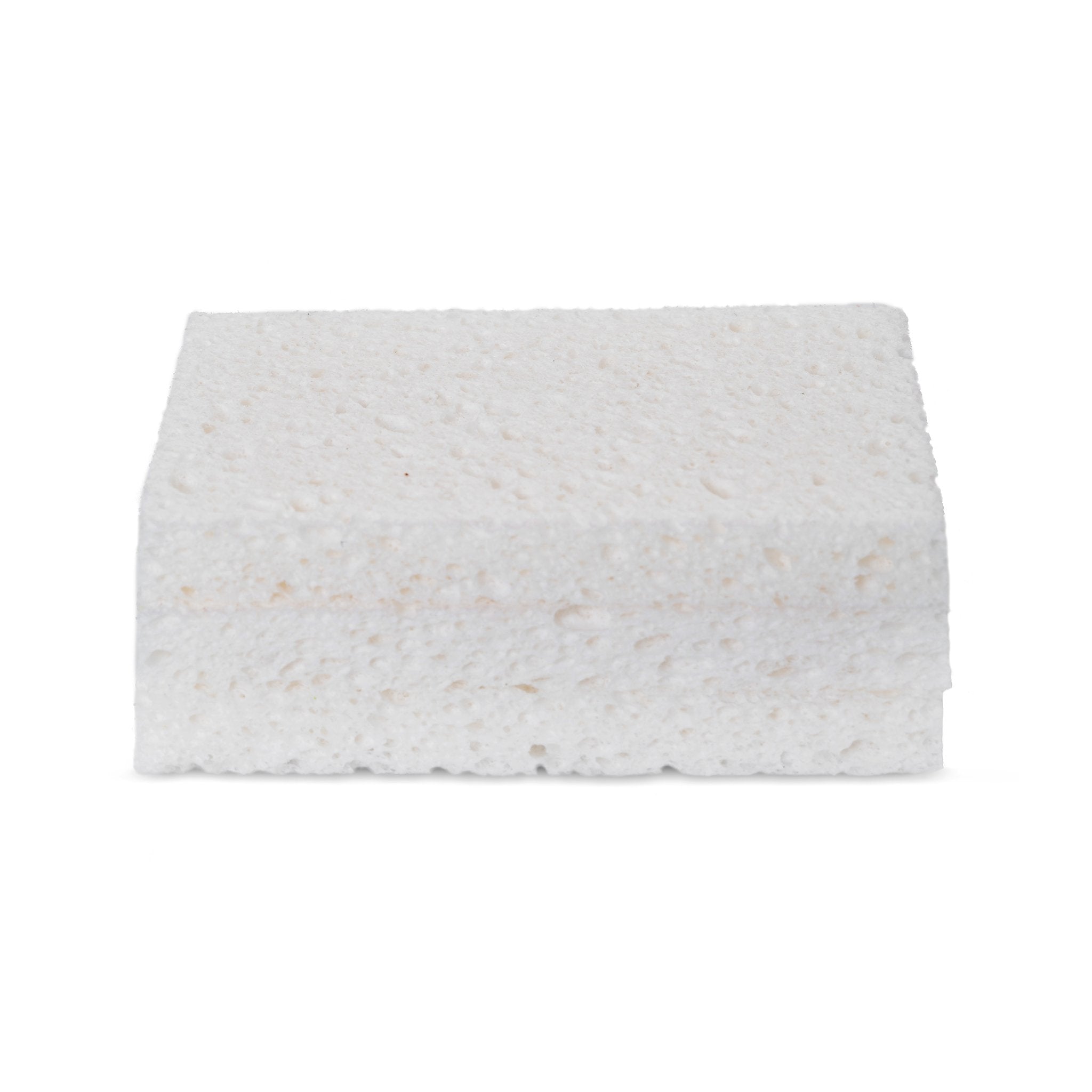 Totally Plant-Based Sponges