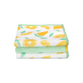 Water-Works All Purpose Microfiber Cloth Set